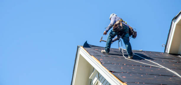 Best Roof Gutter Cleaning  in Rustburg, VA